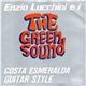 Enzio Lucchini E I The Green Sound - Costa Esmeralda / Guitar Style